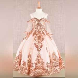 Glitter Sequin Embellished Mesh Kids Dress